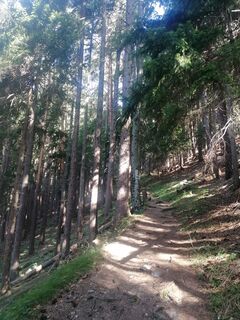 Fotografia z Sonce.S na trase