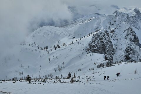 Blick über die ausgedehnten Wälder von Pokljuka.