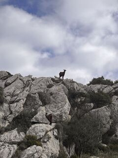 Foto von Christian Classon entlang der Tour