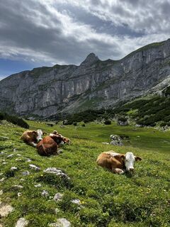 Photo from Philipp Eberharter 1 along the tour
