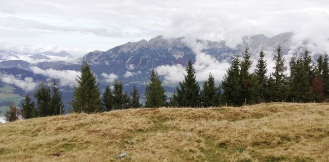 Foto von wanderer55 entlang der Tour