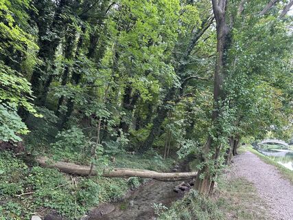 Photo de erwin kragt le long du parcours