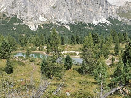 Fotografija s spletne strani Vida Burja na poti