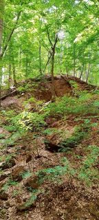 Foto von Landszmann Mónika entlang der Tour