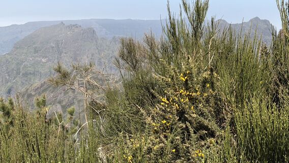 Foto von Marki1966 entlang der Tour