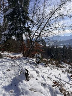 Photo de Flocke Florian le long du parcours