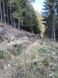Foto von Andreas Pk entlang der Tour