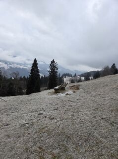 Foto von Silke S. entlang der Tour