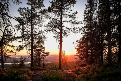 Der malerische Aussichtspunkt auf dem Konttainen-Hügel in Ruka, Kuusamo