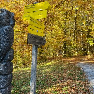 Walderlebnispfad  Lärchenwald Tegernsee
