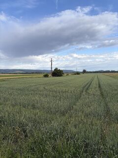 Photo de Andreas Vogel 1 le long du parcours