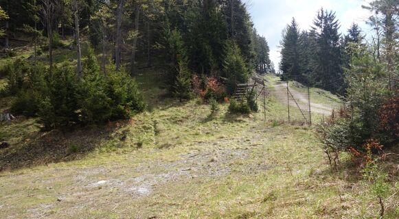 Einzäunung Wildgehege Jagdhaus Brunntal