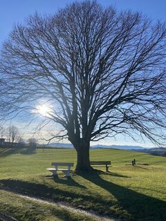 Fotografie z Sven Krieblin na trase