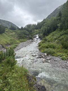 Fotografia z Grizzli na trase
