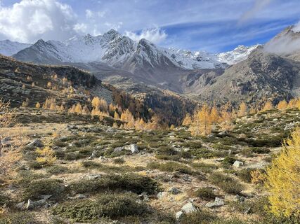 Fotografija s spletne strani Marina I na poti