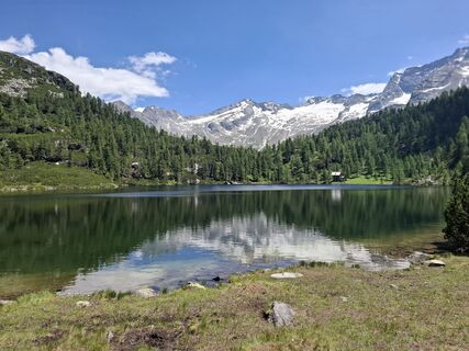 Fotografija s spletne strani Magnus Moser na poti
