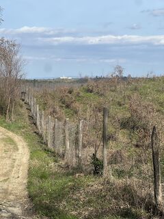 Zdjęcie z Frederic wzdłuż trasy