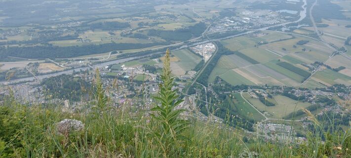 Photo de Peter Fasol le long du parcours