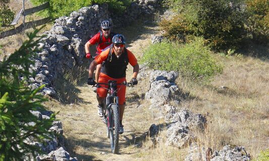 larzac3-VTOPO
