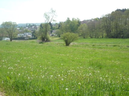 blick-vom-tieferbachweg-kallenberg