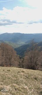 Foto de Jacky belzung a lo largo del recorrido