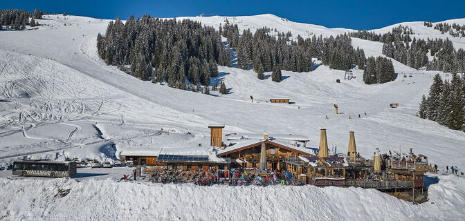 Walleggalm
