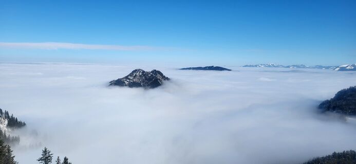 Foto von Isabella Leopolder entlang der Tour
