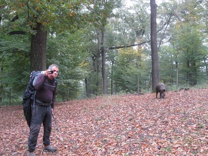 Lainzer Tiergarten