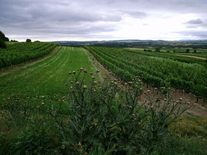 Großhöflein - Sieggraben