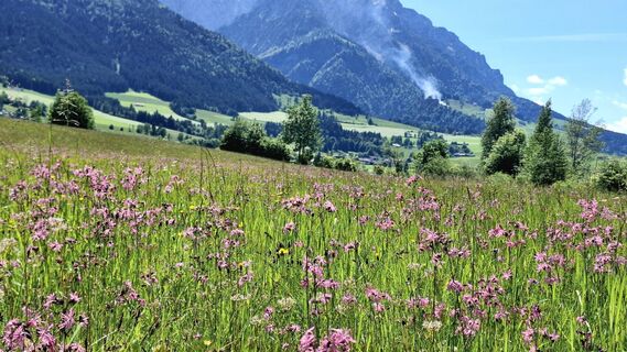 Fotografie z Iris Hahlert na trase
