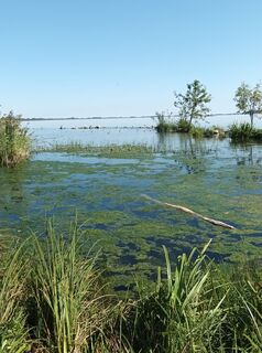 Zdjęcie z Gürtler Lubomir wzdłuż trasy