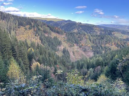 Foto da Halcsakj lungo il tour