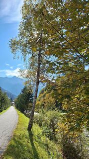Foto von Susi entlang der Tour