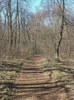 Foto de Julika Jármer a lo largo del recorrido