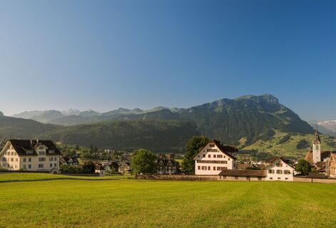 Blick auf die Herrenhäuser und Pfarrkirche St. Martin