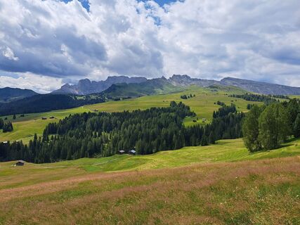 Kuva osoitteesta Oli Koch matkan varrella