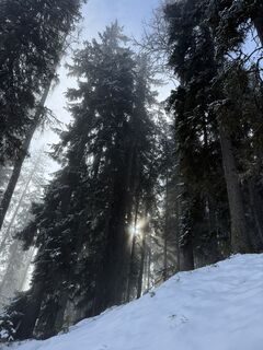 Zdjęcie z Franz hofner wzdłuż trasy