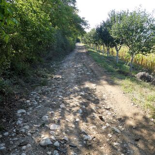 Alte Straße, Vrandol