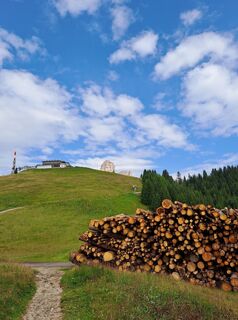 Fotografija s spletne strani Fabrizio Chiesi na poti