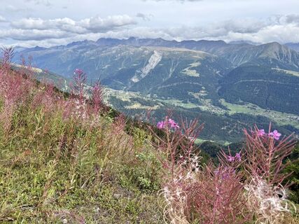 Foto von Käthi Schönbächler entlang der Tour