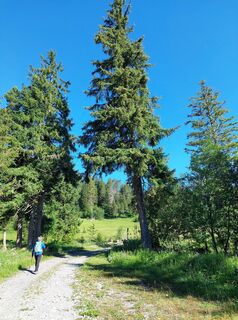 Foto von Hanspeter Schmutz entlang der Tour