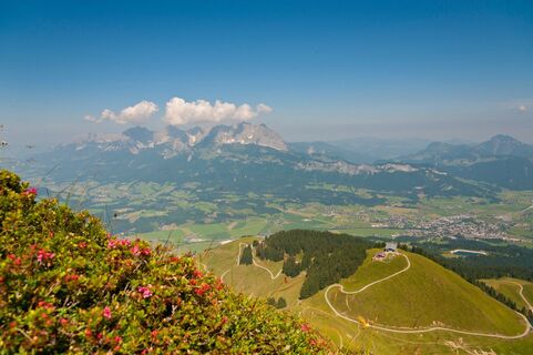 Kitzbüheler Horn Region St. Johann in Tirol