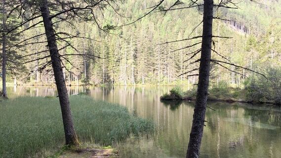 Fotó a Lomalinda honlapról a túra során