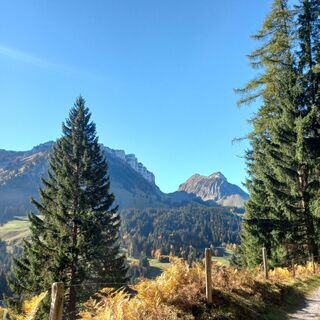 Foto fra mosi mönä undervejs på turen