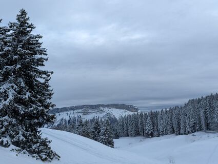 Foto de Anne be a lo largo del recorrido