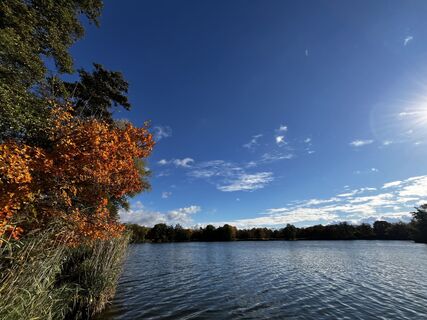 Fotografia z Eppingerklaus na trase