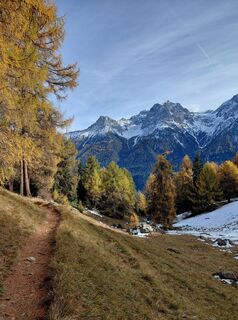 Fotografia z Powerwalker na trase