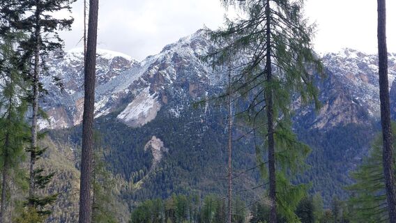 Foto von Johann Helminger entlang der Tour