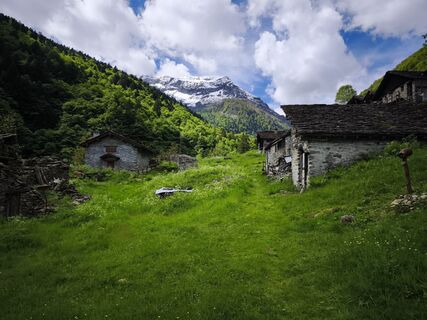 Fotografija s spletne strani Stefano Fabi na poti