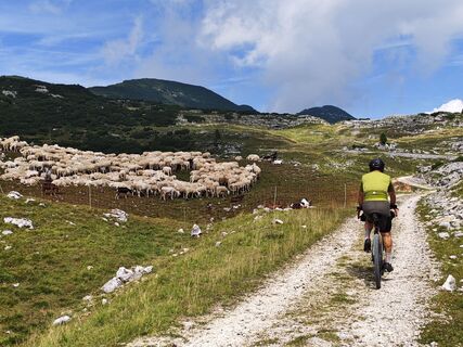 Photo de Lodovica Vecchi le long du parcours